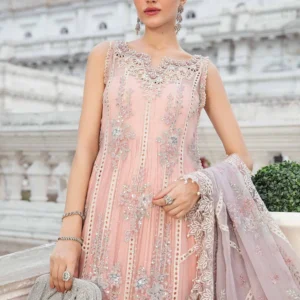 Embroidered chiffon suit