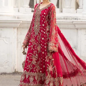 Embroidered chiffon suit