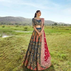 Luxury Lehnga Choli
